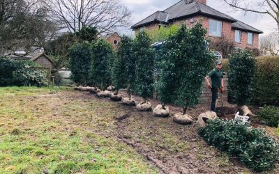 Landscape Gardener in Chelford