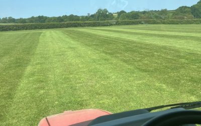 Cheshire Paddock Maintenance