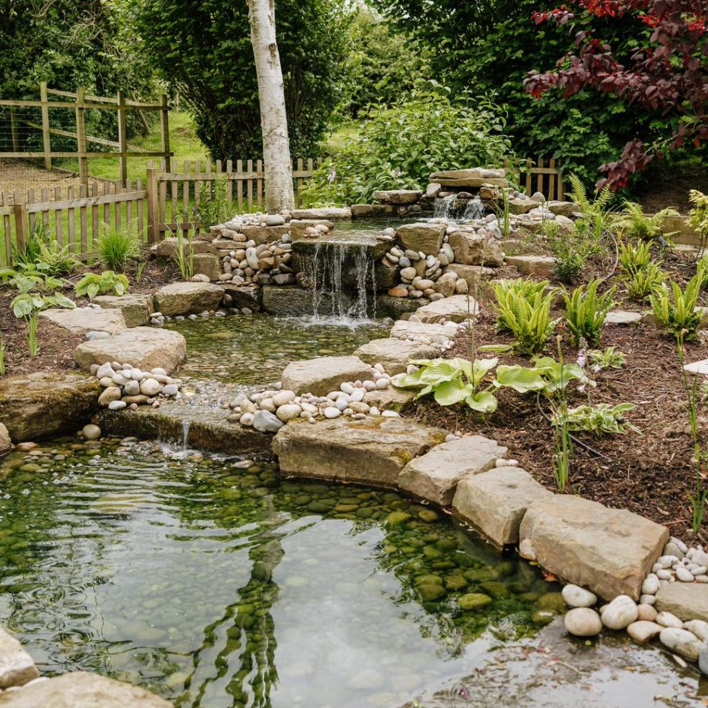 Pond Maintenance Northwich 
