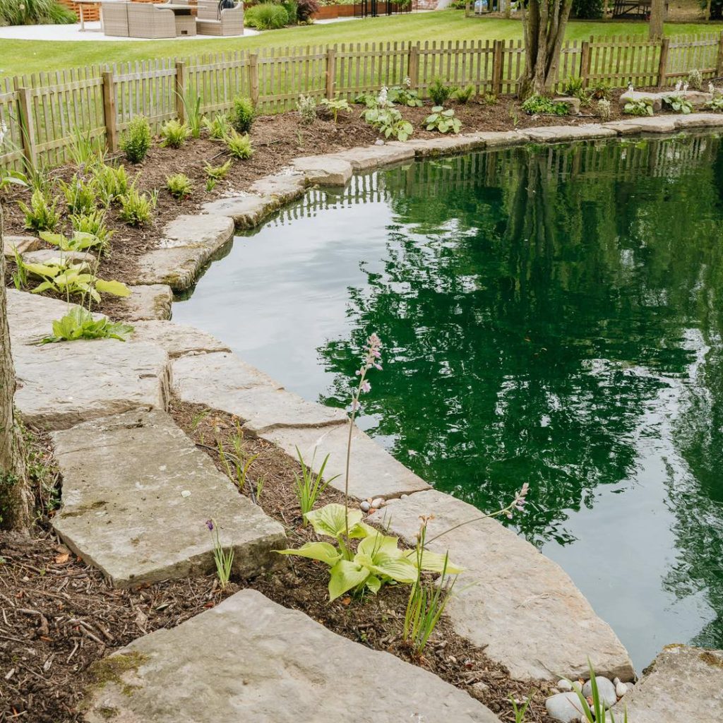 Pond Maintenance Cheshire